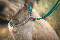 Ruffwear Chain Reaction Martingale Dog Collar